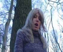 Am Baum gepisst